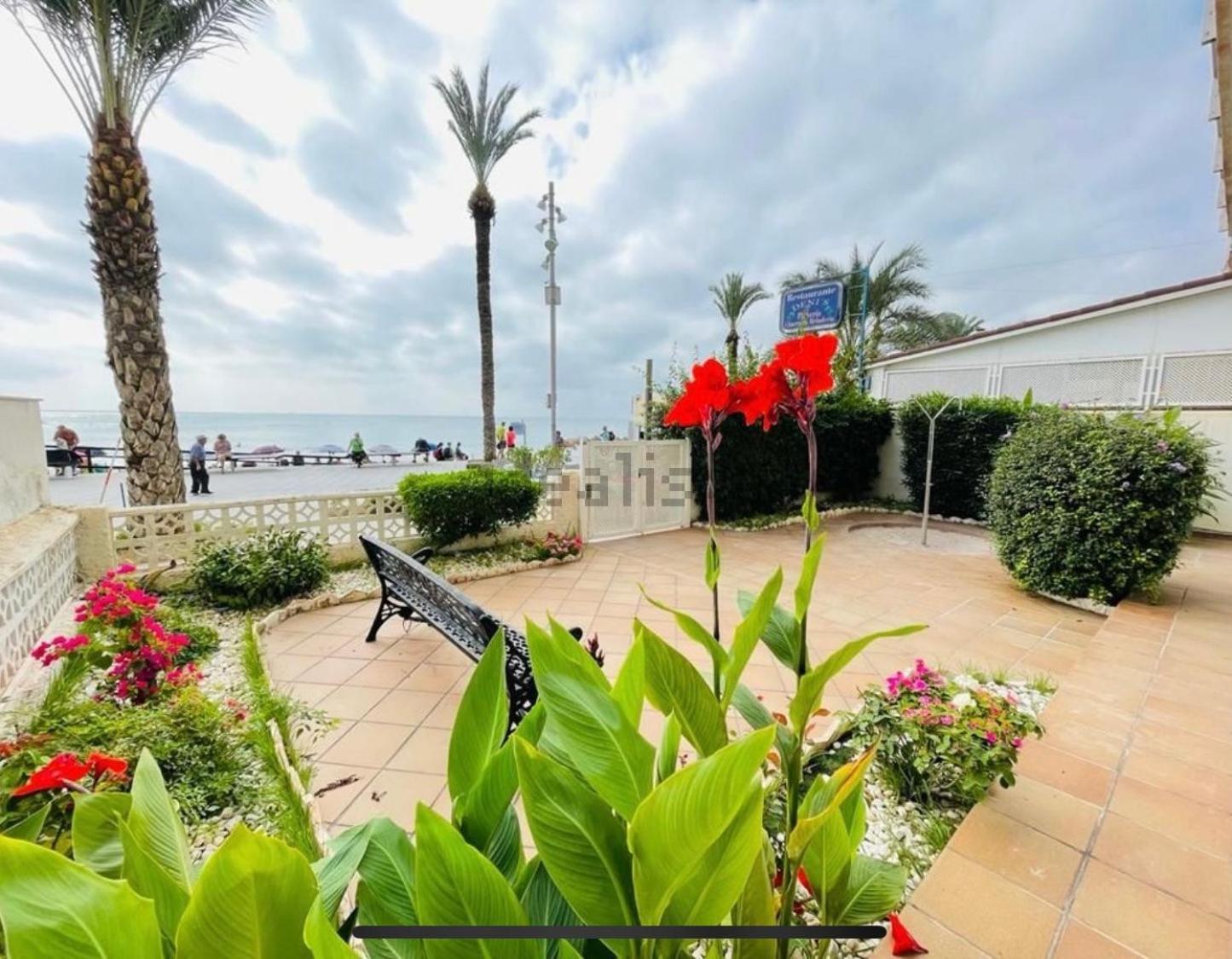 Blue House 1ª Linea Playa Apartment Torrevieja Ngoại thất bức ảnh